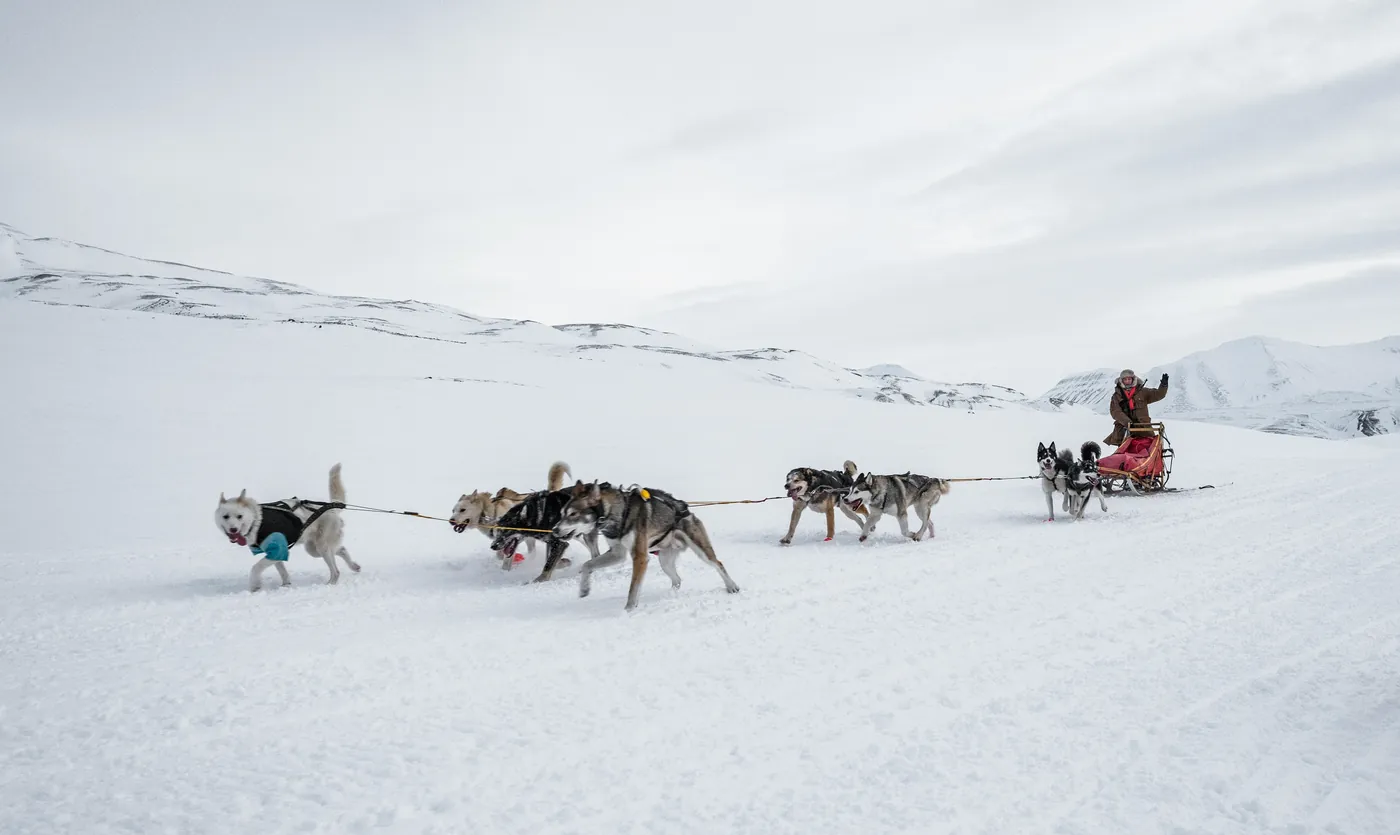 Husky team pulling a passenger sled with a musher across an Arctic mountain plain