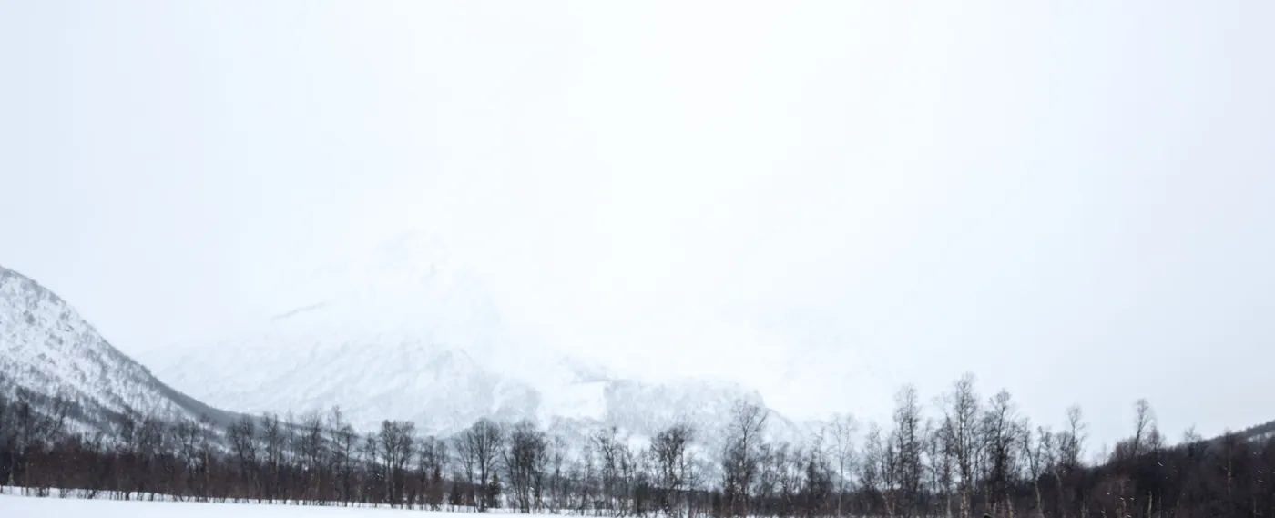 Snow-covered mountains and birch forest near Tromsø